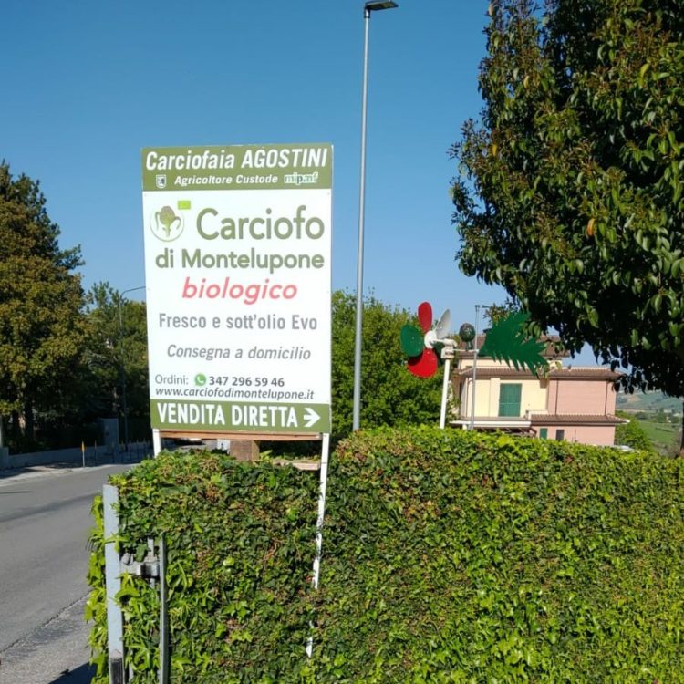 Foto del cartello di insegna della carciofaia