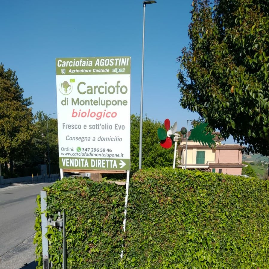 Foto del cartello di insegna della carciofaia