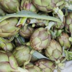 Immagine di carciofi di Montelupone biologici, raccolto aprile 2023